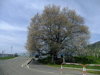 shiga park hotel