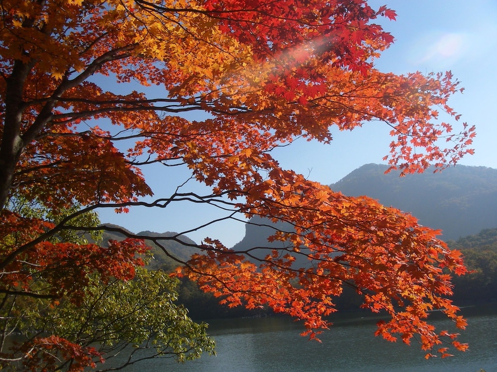 shiga park hotel