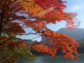 shiga park hotel