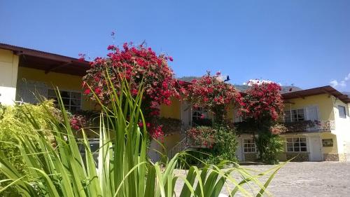 hotel paradise inn