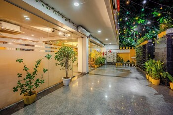 lime tree luxury studio