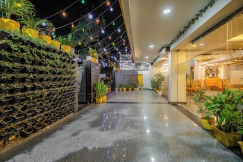 lime tree luxury studio
