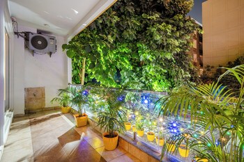 lime tree luxury studio