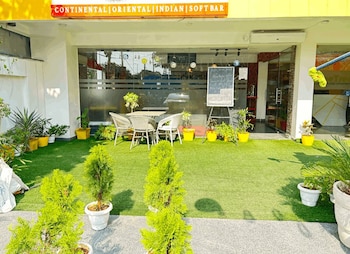 lime tree luxury studio