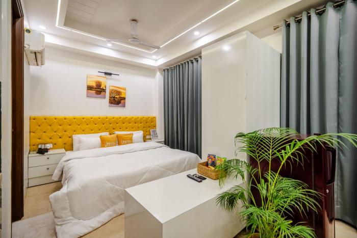 lime tree luxury studio