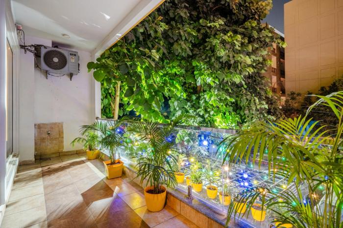 lime tree luxury studio