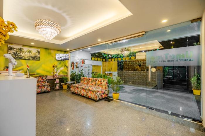 lime tree luxury studio