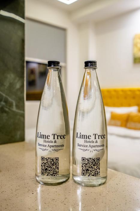 lime tree luxury studio