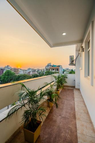 lime tree luxury studio