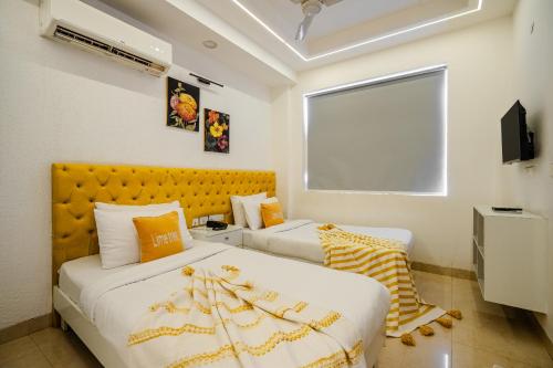 lime tree luxury studio