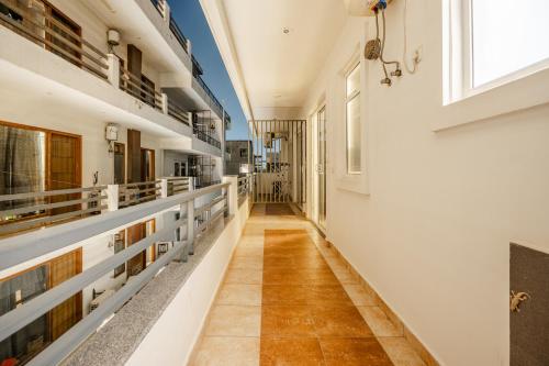 lime tree luxury studio