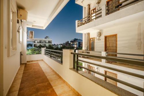 lime tree luxury studio