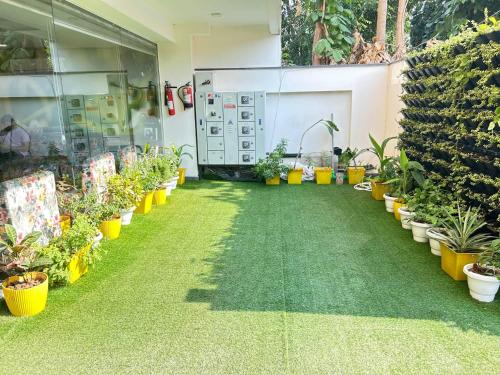lime tree luxury studio