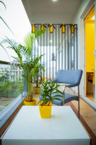 lime tree luxury studio