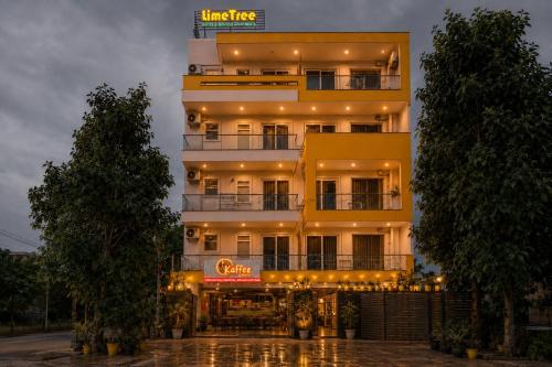 lime tree luxury studio
