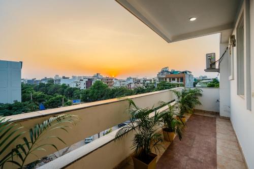 lime tree luxury studio
