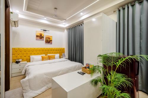 lime tree luxury studio