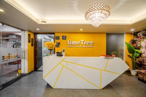 lime tree luxury studio