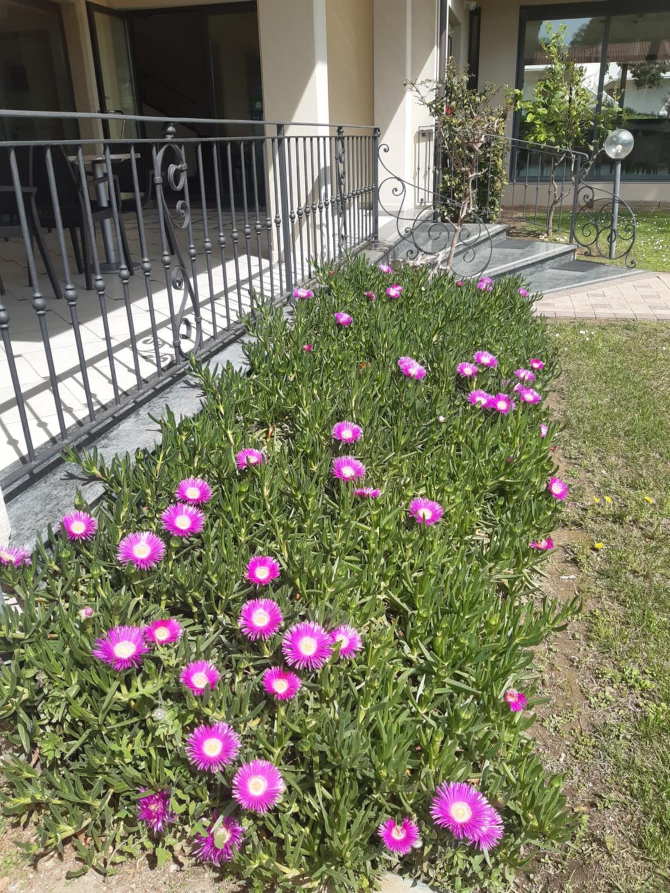 Hotel Flora,Castiglioncello>>Bibbona,3 star