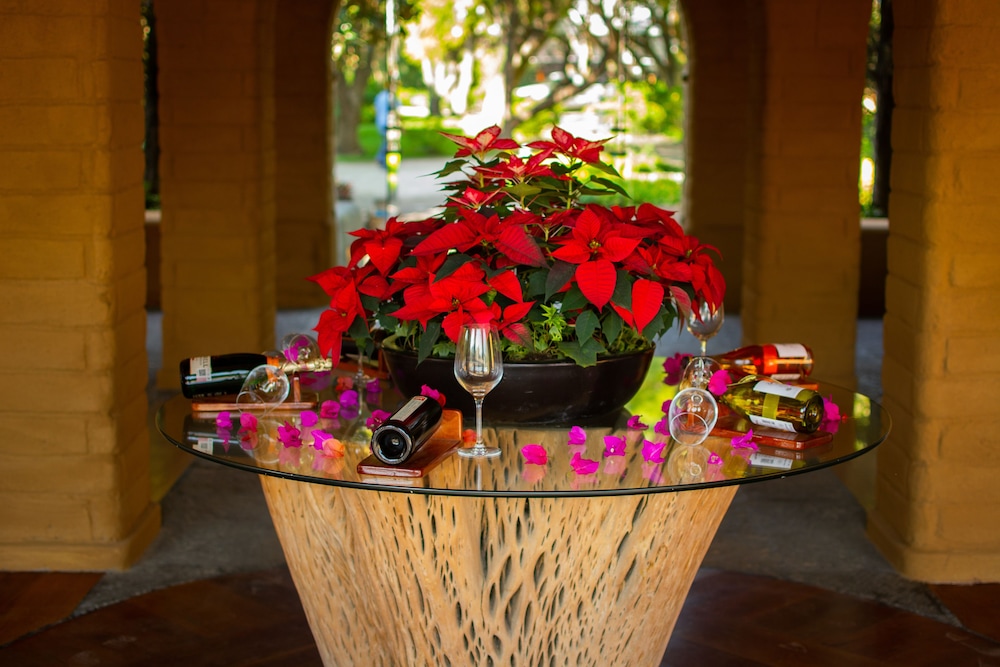 mision del sol resort and spa adults only