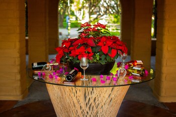 mision del sol resort and spa adults only