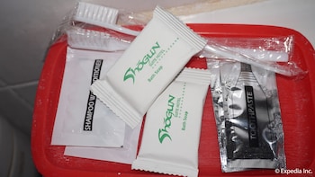 urban travellers hotel