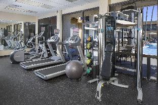 holiday inn resort galveston on the beach by ihg