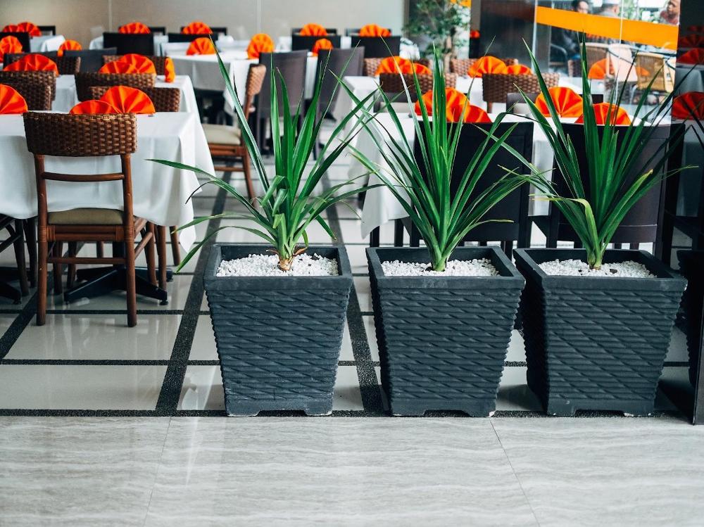 alpha hotel