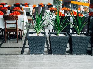 alpha hotel