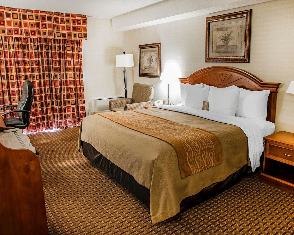 comfort inn toronto northeast