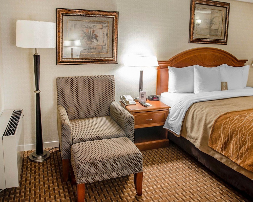 comfort inn toronto northeast