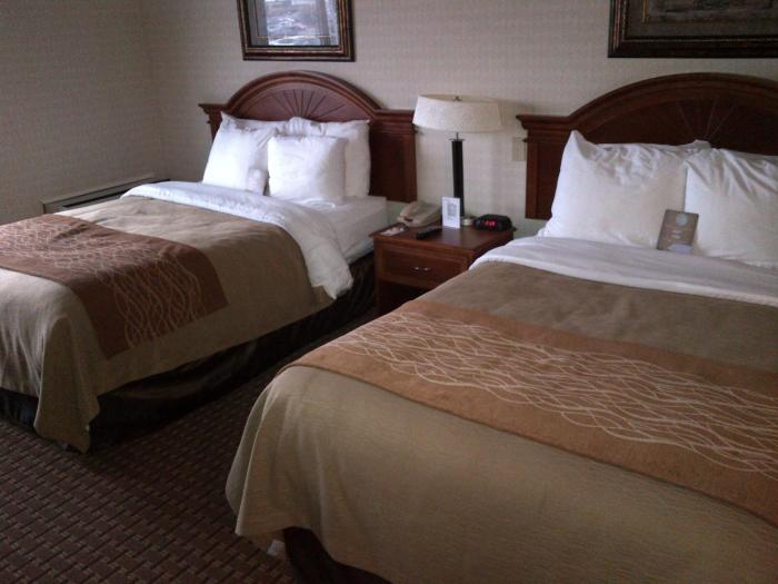 comfort inn toronto northeast