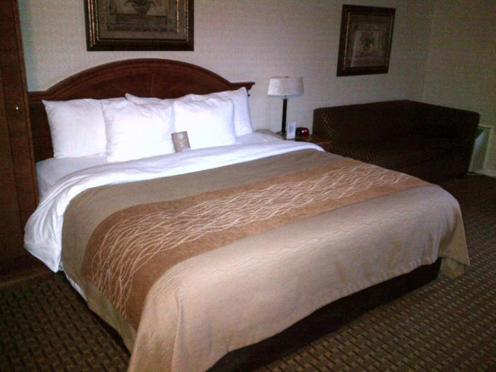 comfort inn toronto northeast