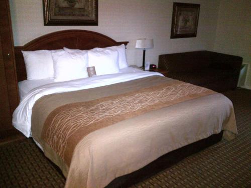 comfort inn toronto northeast