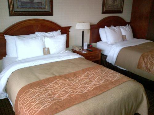 comfort inn toronto northeast