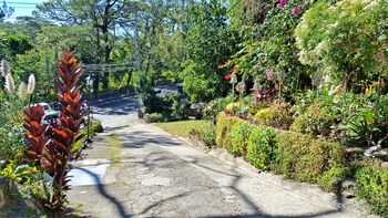 mountain lodge