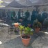 hotel monasterio