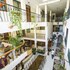 ideal villa hotel