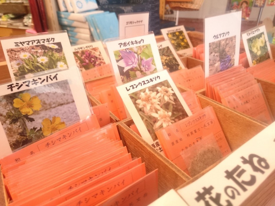 rishirifuji