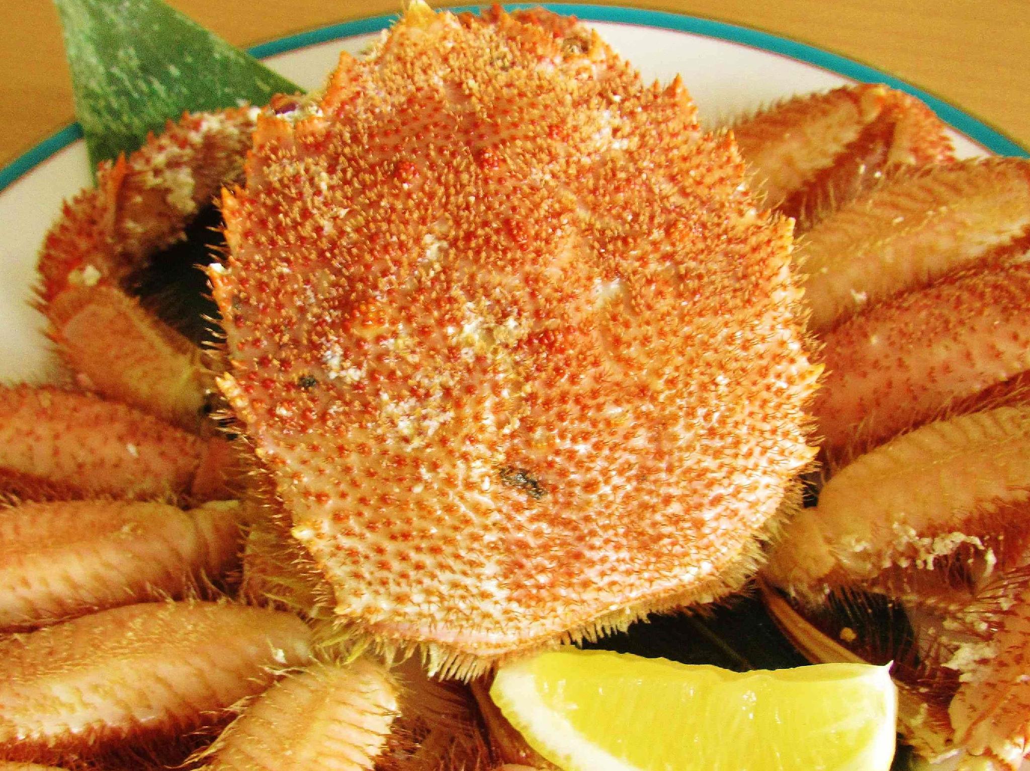 rishirifuji