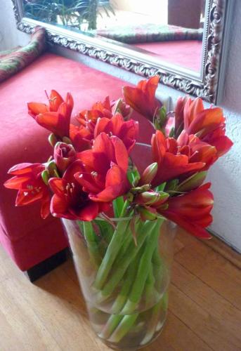 Parkhotel Essen,Near Cameron Regional Medical Center,3 star