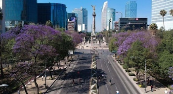 hotel roble