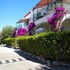 tenuta belvedere