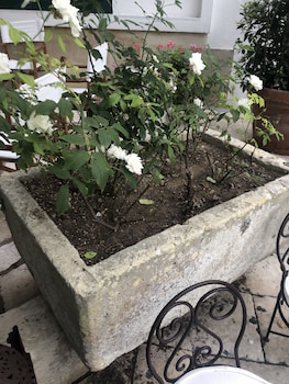 tenuta belvedere