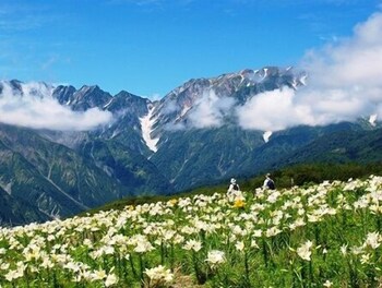 hakuba yamano hotel