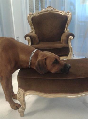 hotel san marino idesign