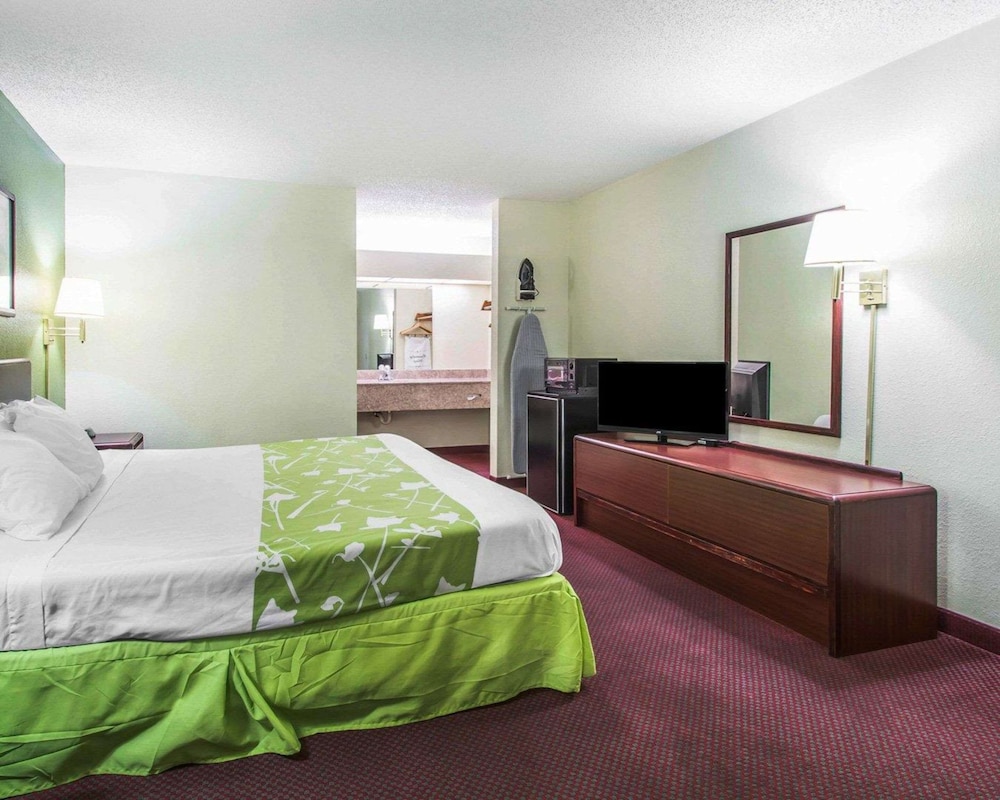 econo lodge dothan