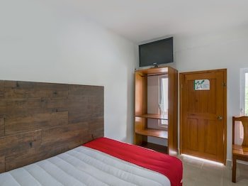 oyo hotel palma real