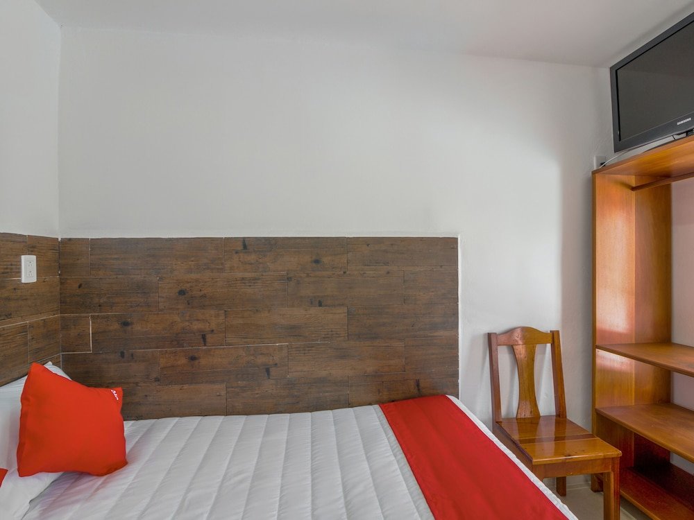 oyo hotel palma real
