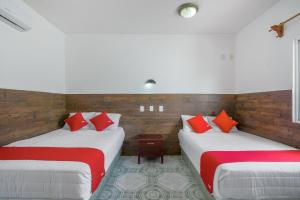oyo hotel palma real